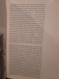 Ein autobiographischer text