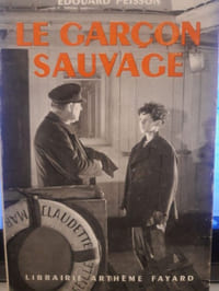 Le garçon sauvage