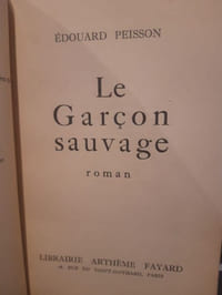 Le garçon sauvage