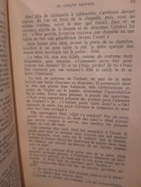 Le garçon sauvage