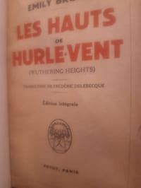 Les hauts de Hurlevent