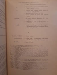 Le dictionnaire des idées reçues