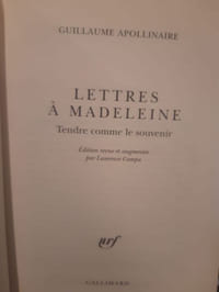 Lettres à Madeleine