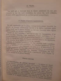 Précis d'anatomie et de dissection