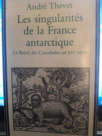 Les singularités de la France antarctique