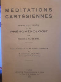 Introduction à la phénoménologie