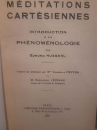 Introduction à la phénoménologie