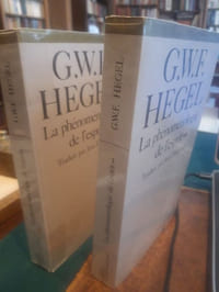 La phénoménologie de l'esprit