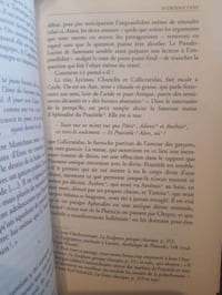 Le Livre des mérites respectifs des jouvencelles et des jouvenceaux