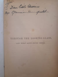 Through the looking-glass and what Alice found there