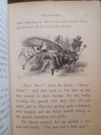 Through the looking-glass and what Alice found there