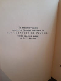 Le voyageur de l'amour