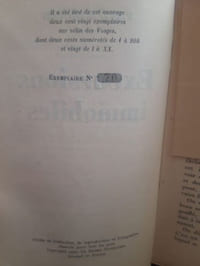 Excursions immobiles