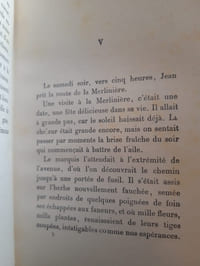 Stéphanette