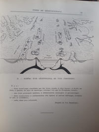 Histoire géologique de la biosphère. La vie des sédiments dans les géographies successives