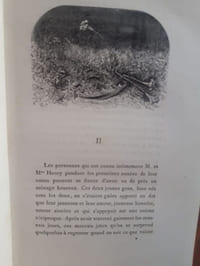 La roche aux mouettes