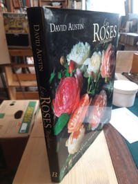 Les roses anglaises