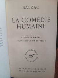 La comédie humaine (manque les 2 derniers tomes)