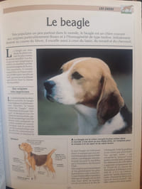 Atlas pratique du chasseur