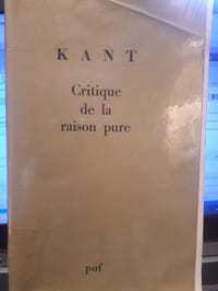 Critique de la raison pure
