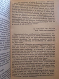Histoire de l'Afrique des origines à nos jours