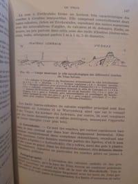 Stratigraphie