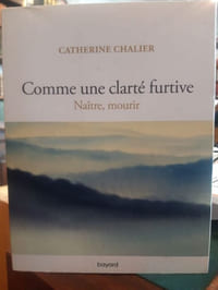 Comme une clarté furtive