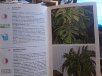 Le Guide Vert des plantes et des fleurs
