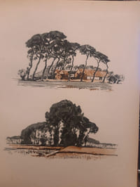 Ceux du Nord