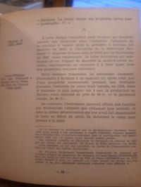 Roubaix à travers les âges
