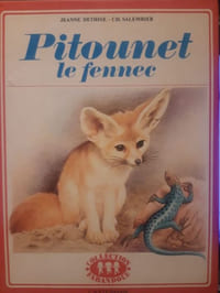Pitounet le fennec