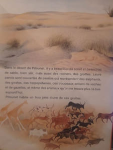 Pitounet le fennec