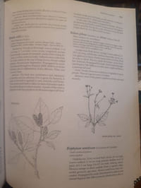 Plants and people of Nepal