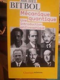 Mécanique quantique. Une introduction philosophique