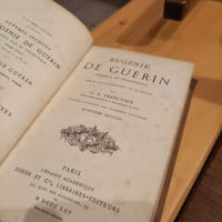 Journal et Fragments