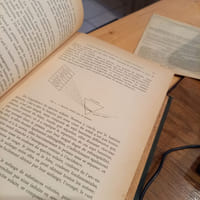Le Conseiller Technique du Peintre en Batiment 
