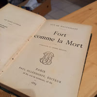 Fort Comme la Mort