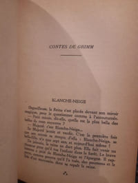 Au jardin des contes célèbres. Cent résumés pour les parents
