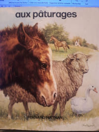 Aux pâturages