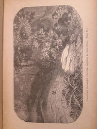Les malheurs de Sophie