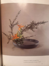 L'esprit poétique de l'Ikebana