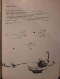 L'esprit poétique de l'Ikebana