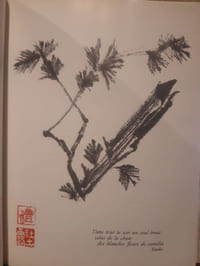 L'esprit poétique de l'Ikebana