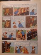 Image de livre