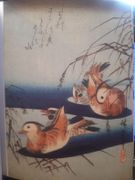 Image de livre