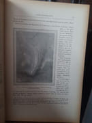 L'océanographie par Richard, J. - Image 2