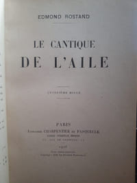 Le cantique de l'aile