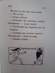 Dictionnaire humoristique de la médecine