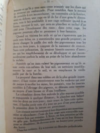 Les pigeons de Colombier et de Volière