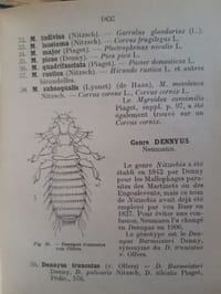 Les oiseaux de France